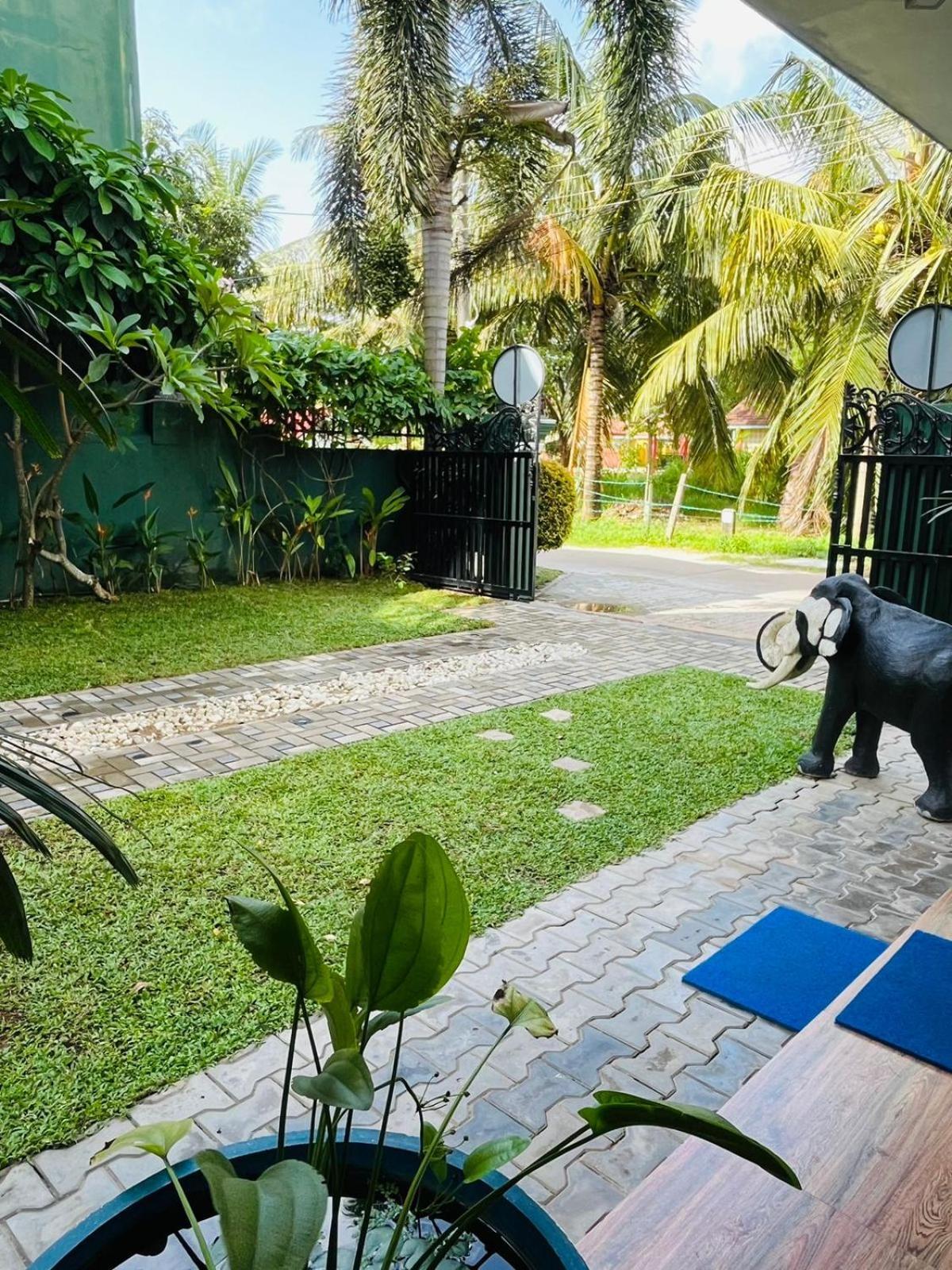 Nebula Residence Negombo Exterior photo